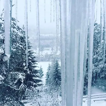 منزل ريفي Drevenica Janosik