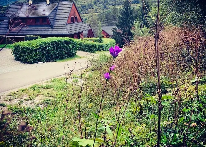 Drevenica Janosik 2 *