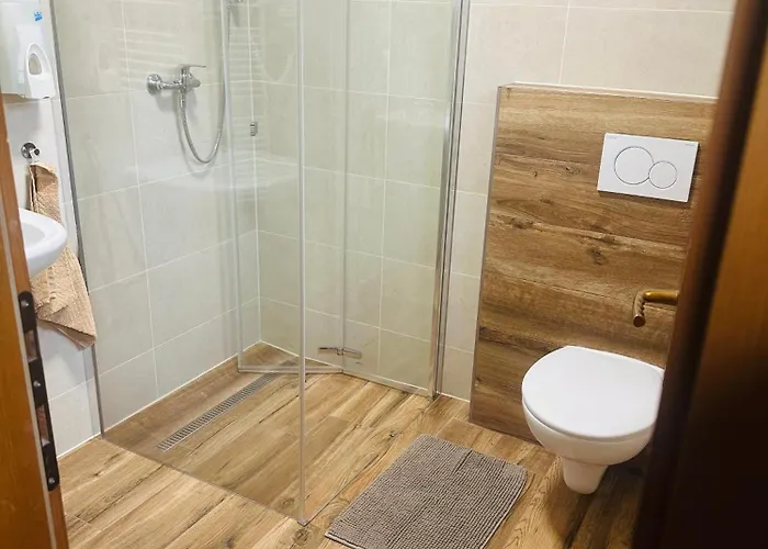 Drevenica Janosik 2 *